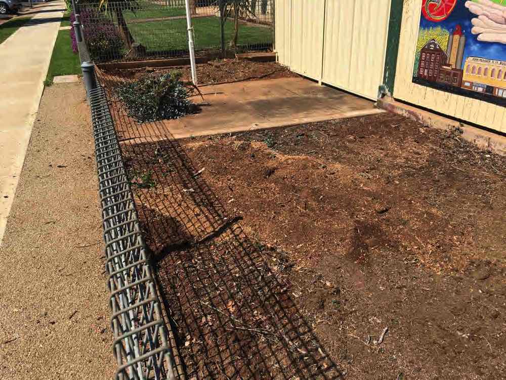 Finished stumps Temora 2021