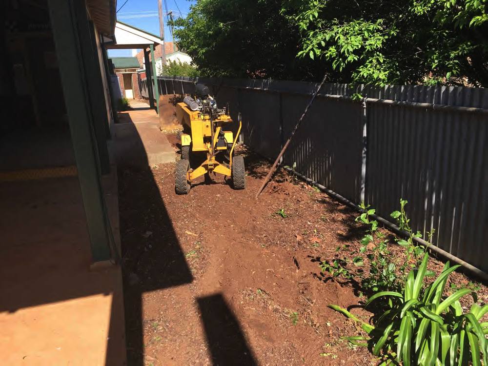 Stumps Temora 2021