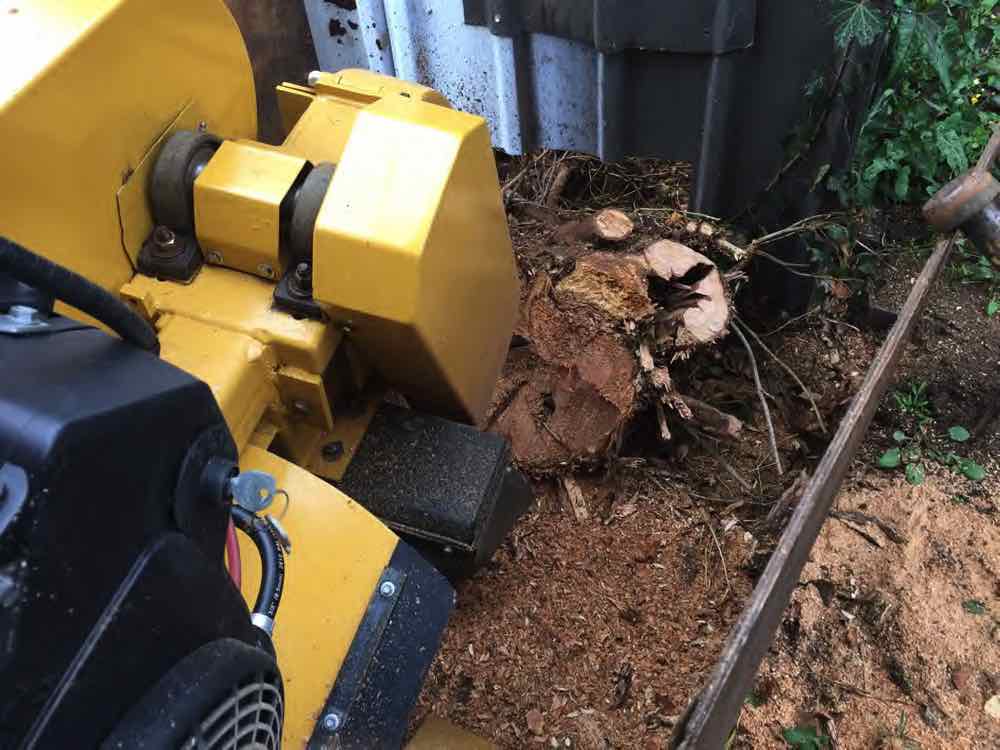 removing a stump in tatton nsw