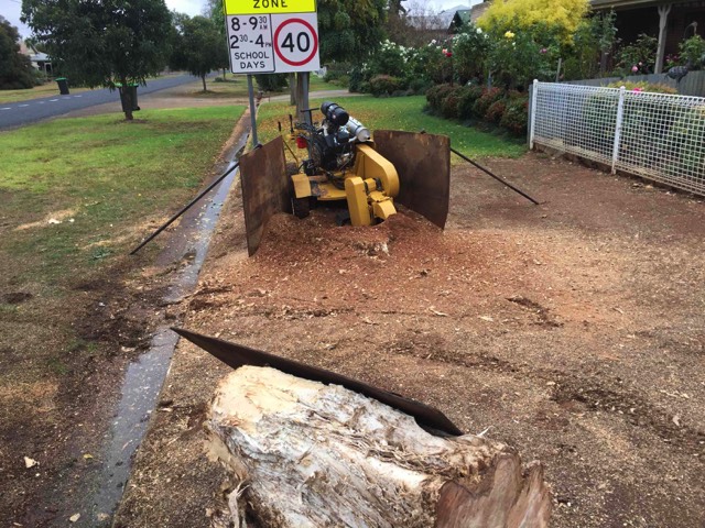 Grinding a stump in Lockhart NSW