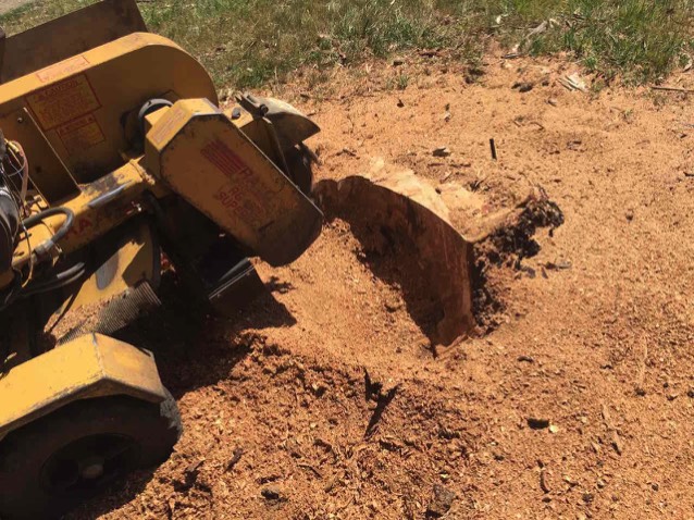 Grinding a stump Gumly NSW.