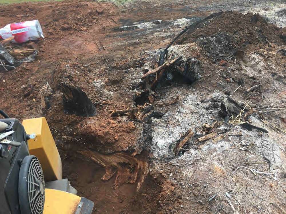 Half burned stump Boree Creek 2021