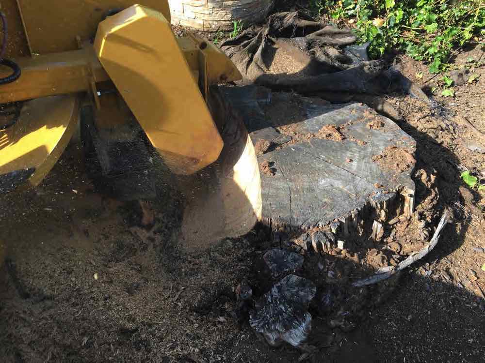 Large gum stump removed Mount Austin Nsw