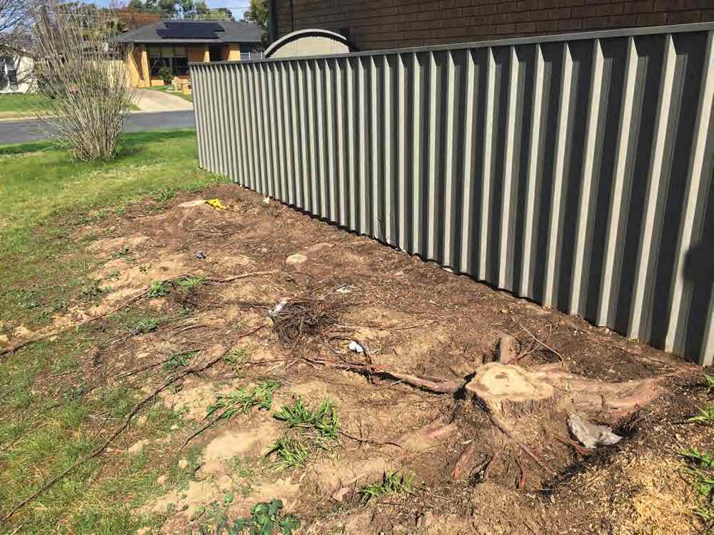 3 pine stumps to grind in Kooringal 2021