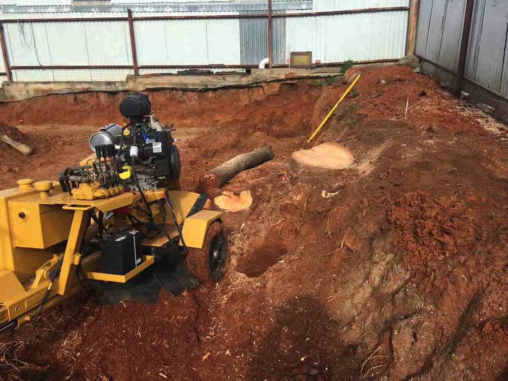 stump removal building site junee.