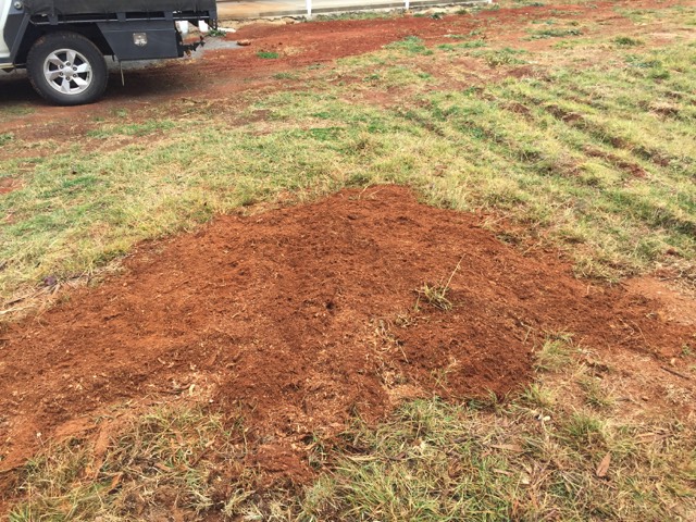 Grinding a small gum stump in Lockhart NSW