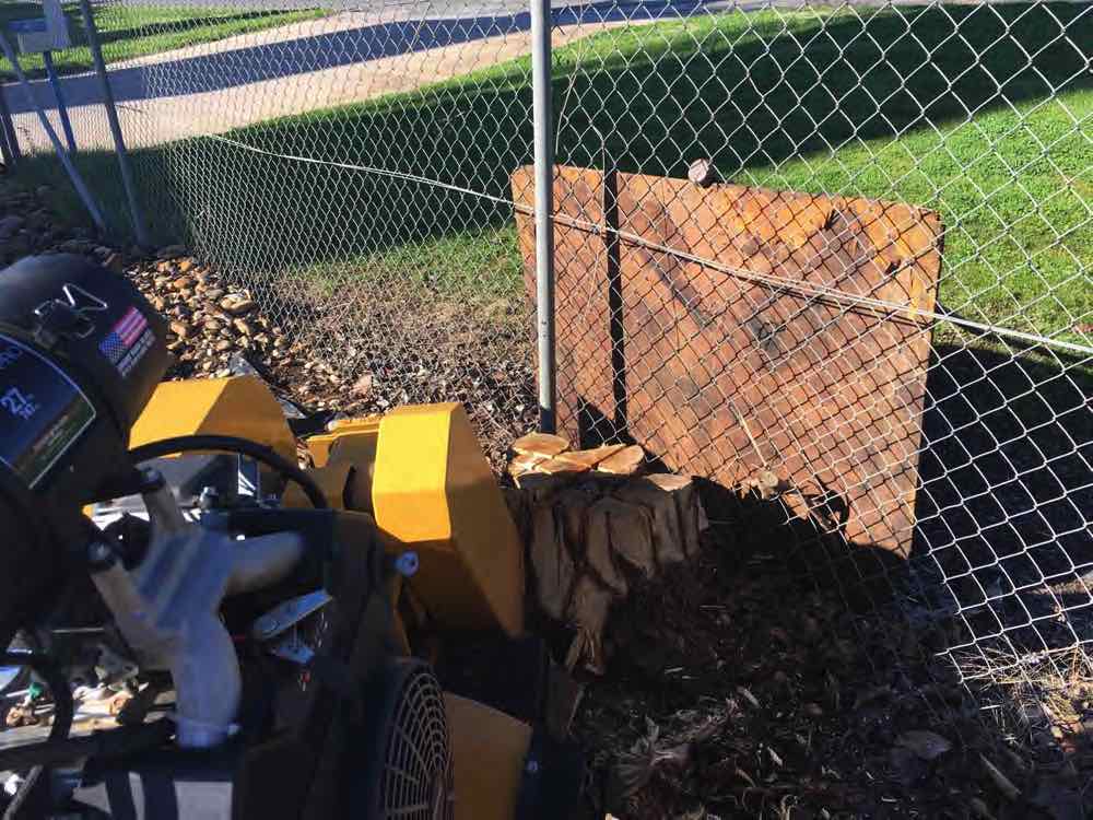 stump grinding in Wagga.