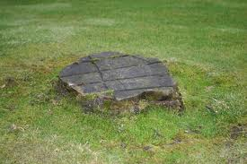 A stump before grinding.