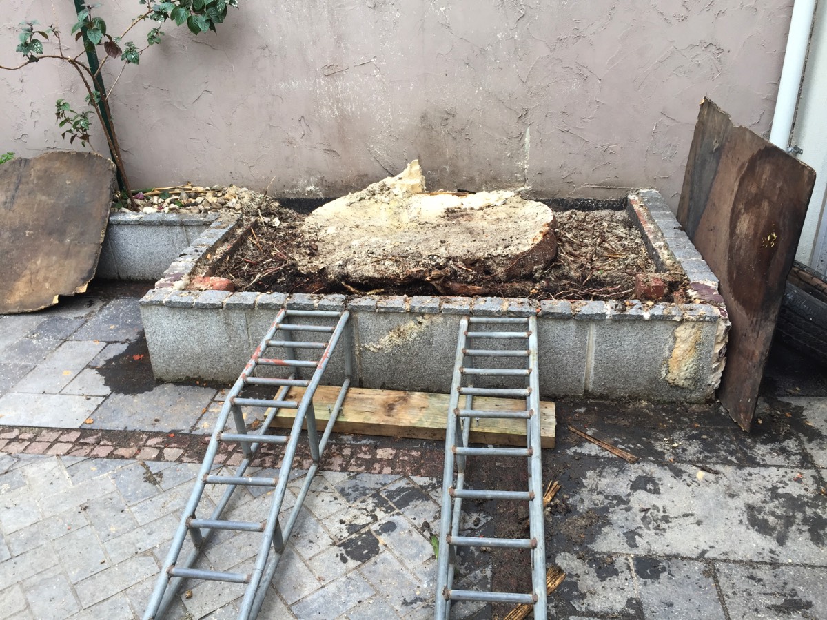 Image shows how hard to remove a stump sometimes.