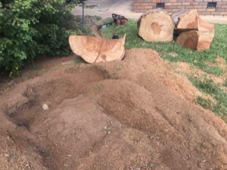 Stump Removals in Tolland 2650.