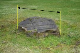 stump diameter measurement